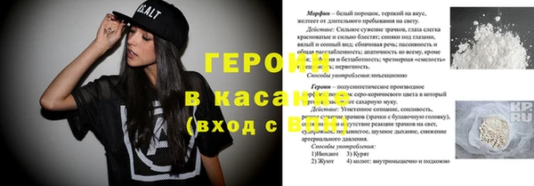 молекула духа Арсеньев