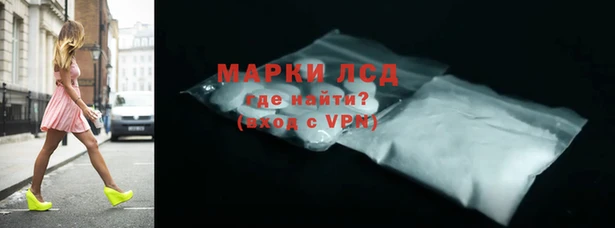 молекула духа Арсеньев