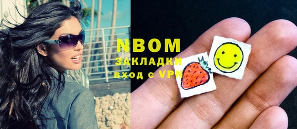 молекула духа Арсеньев