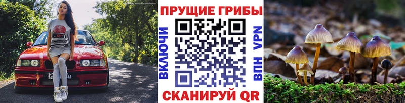 Псилоцибиновые грибы мицелий  где найти наркотики  shop состав  Менделеевск 